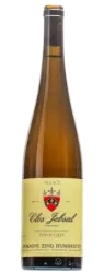 Pinot gris 
