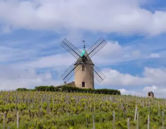 Moulin à vent 