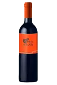 LANGUEDOC A l'ombre du Fguier du Mas de la Seranne