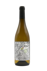 LANGUEDOC Pas vu pas pris de Jeff Carrel