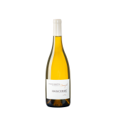 SANCERRE Blanc Chavignol du Domaine Pierre Martin SANCERRE Blanc Chavignol du Domaine Pierre Martin