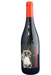 Vieille mule