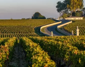vins de Bordeaux