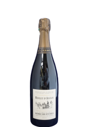 BERECHE REFLET D ANTAN