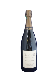 BERECHE Les Beaux regards