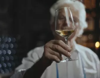 Champagnes de vigneron